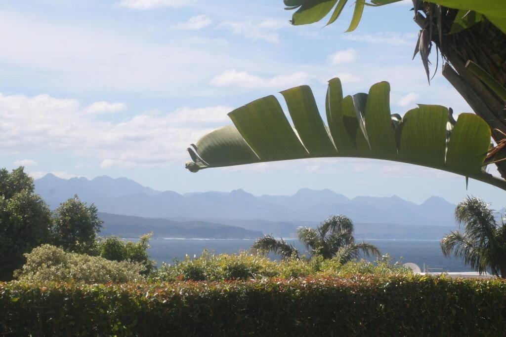 Seaviews From Arrowood Διαμέρισμα Plettenberg Bay Εξωτερικό φωτογραφία